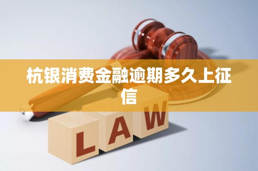 杭銀消費(fèi)金融逾期多久上征信？全面解析企業(yè)征信服務(wù)